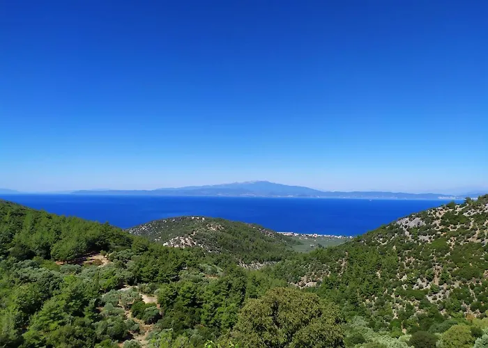 Eden View