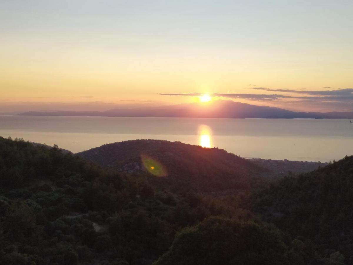 Eden View