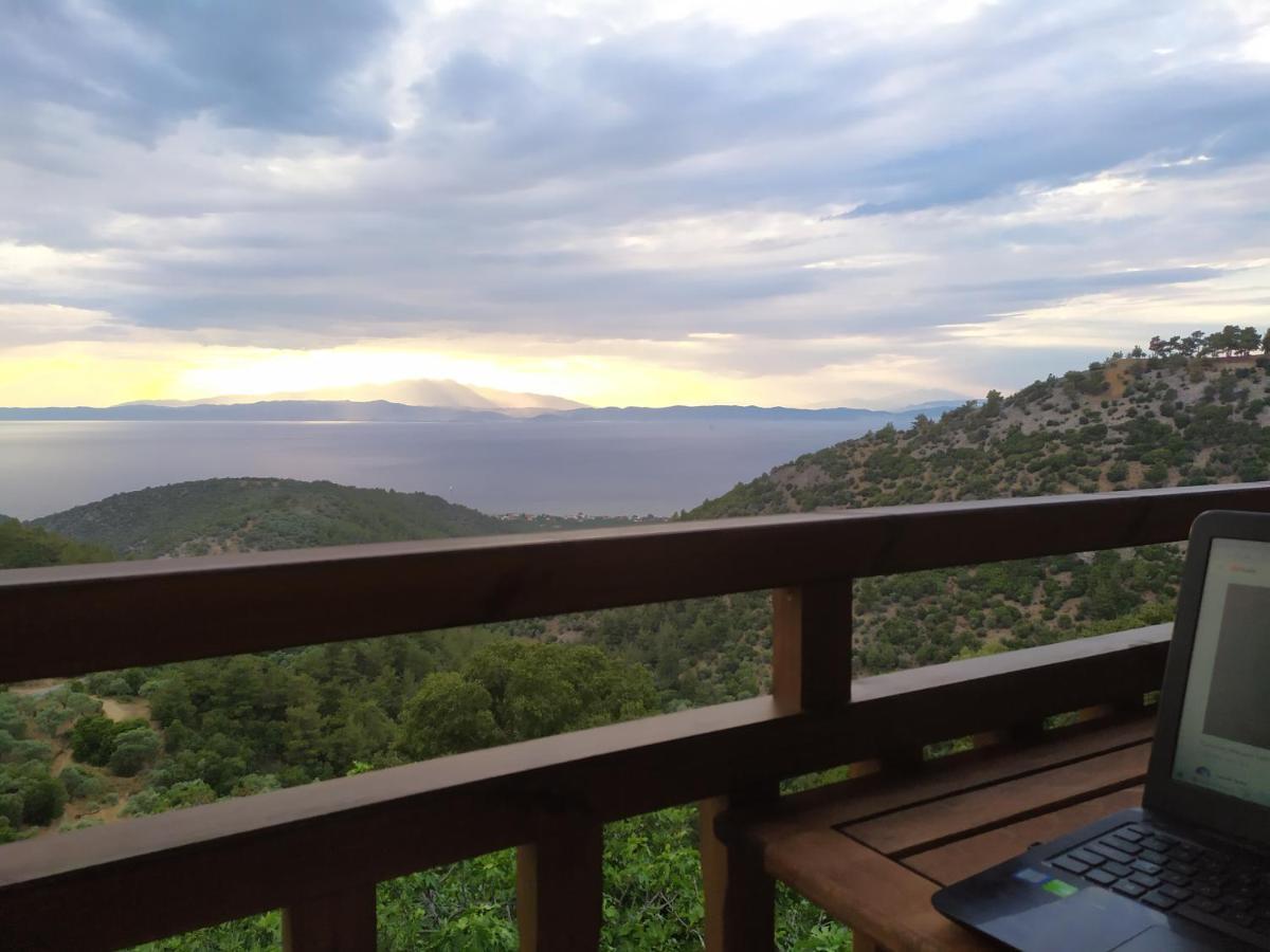 Eden View * Sotir