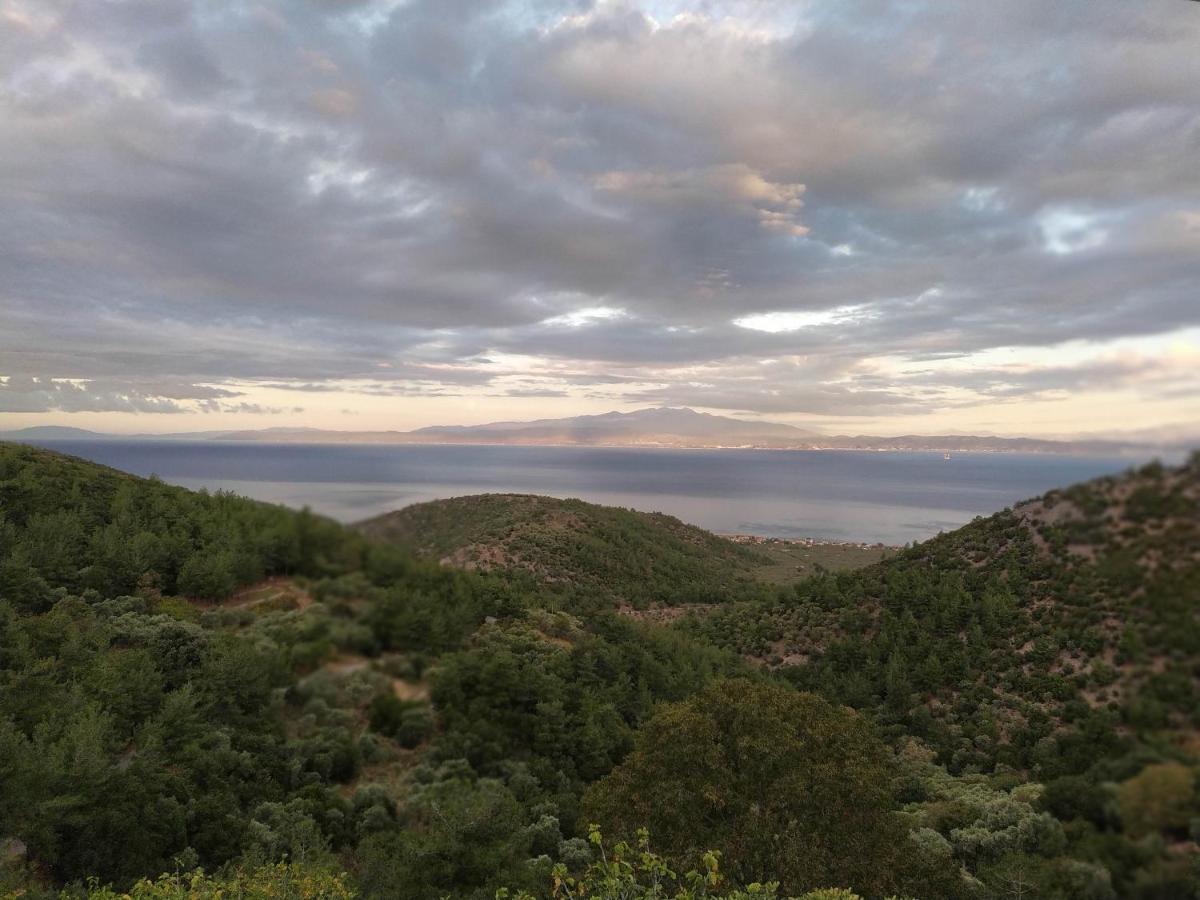 Eden View