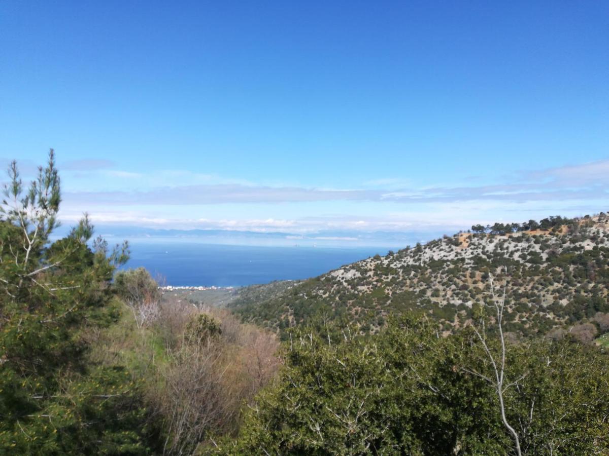 Eden View *