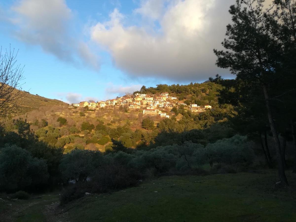 Appartement Eden View