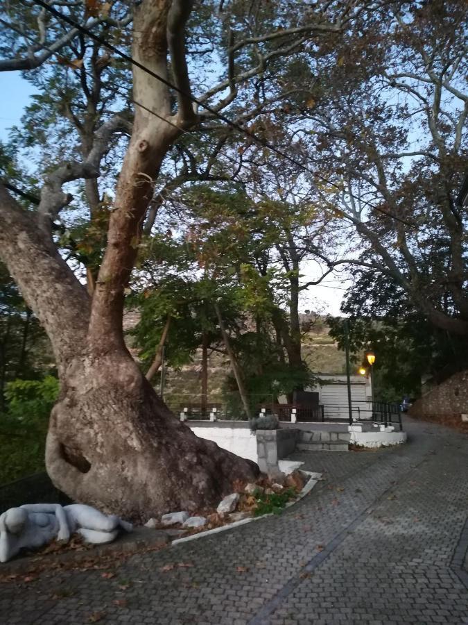 Eden View * Sotir